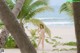 A woman in a bikini standing on a beach next to palm trees.