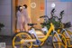 A couple of women standing next to a row of yellow bikes.